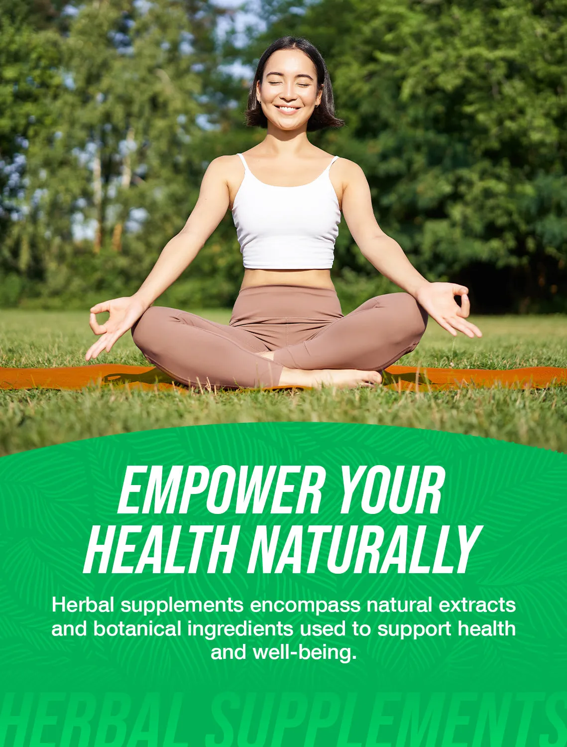 Organic Ginkgo Biloba Powder